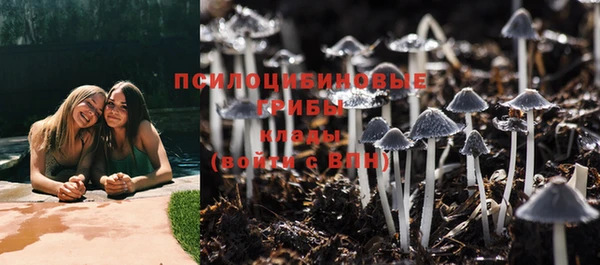 стафф Магас