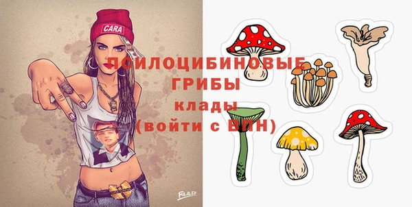 твердый Медногорск