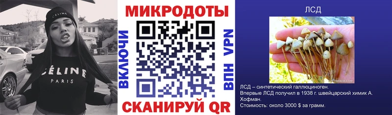 Псилоцибиновые грибы Psilocybine cubensis  ссылка на мегу ONION  Советск 