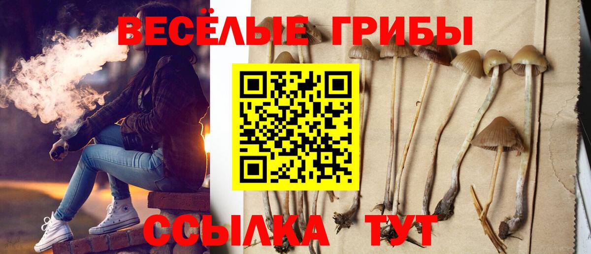 Галлюциногенные грибы ЛСД Советск