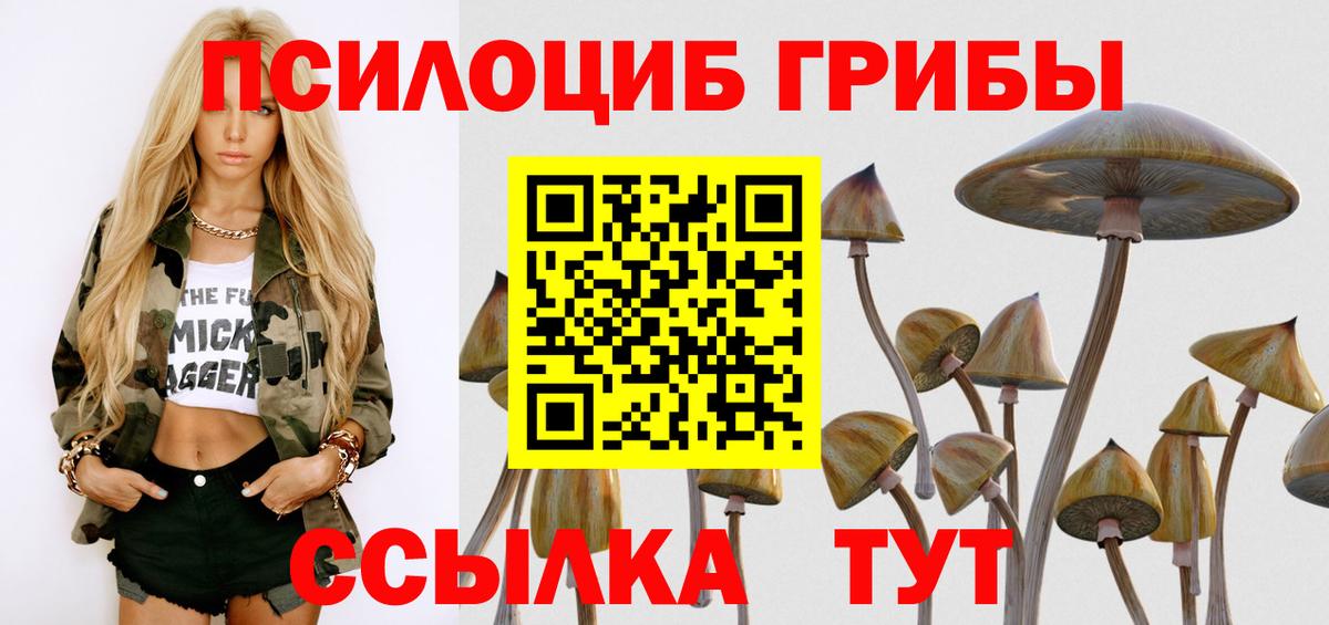 Галлюциногенные грибы MAGIC MUSHROOMS  Вход с VPN  Галлюциногенные грибы MAGIC MUSHROOMS  Советск 